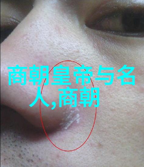 朱允炆下落之谜我亲眼见证了这段历史的迷雾重重