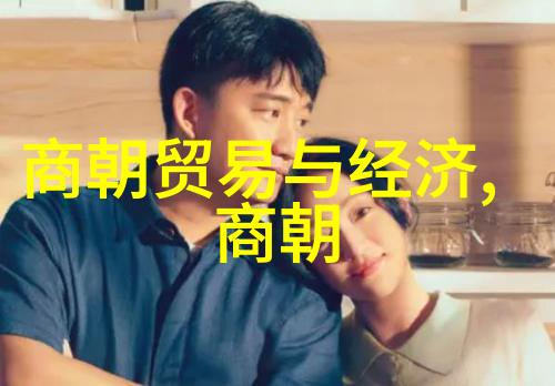 历史的纵横宋朝智慧的现代探索