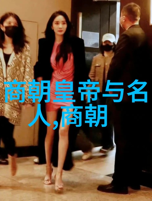 明朝简史龙兴至覆灭的辉煌与挫折