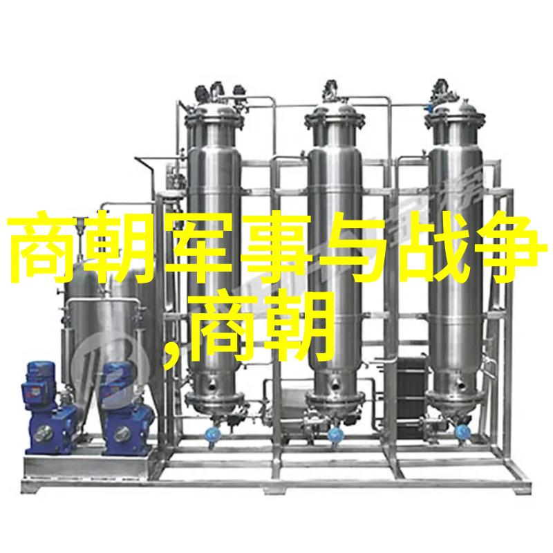 明朝英宗朱祁镇最无耻的-奸雄背后的阴影明朝英宗朱祁镇权谋史