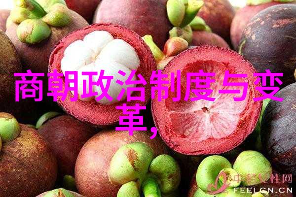 社稷之忧明朝对外战乱与内政困境
