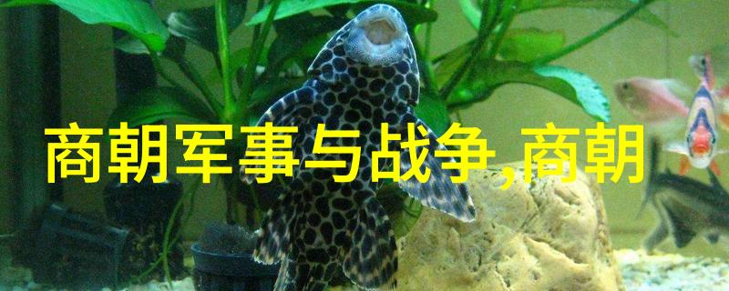 唐高祖李渊与隋炀帝的纠葛与转变