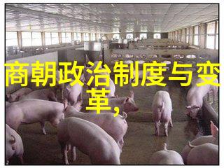 传统文化儿童故事我亲眼见证的古老民间故事