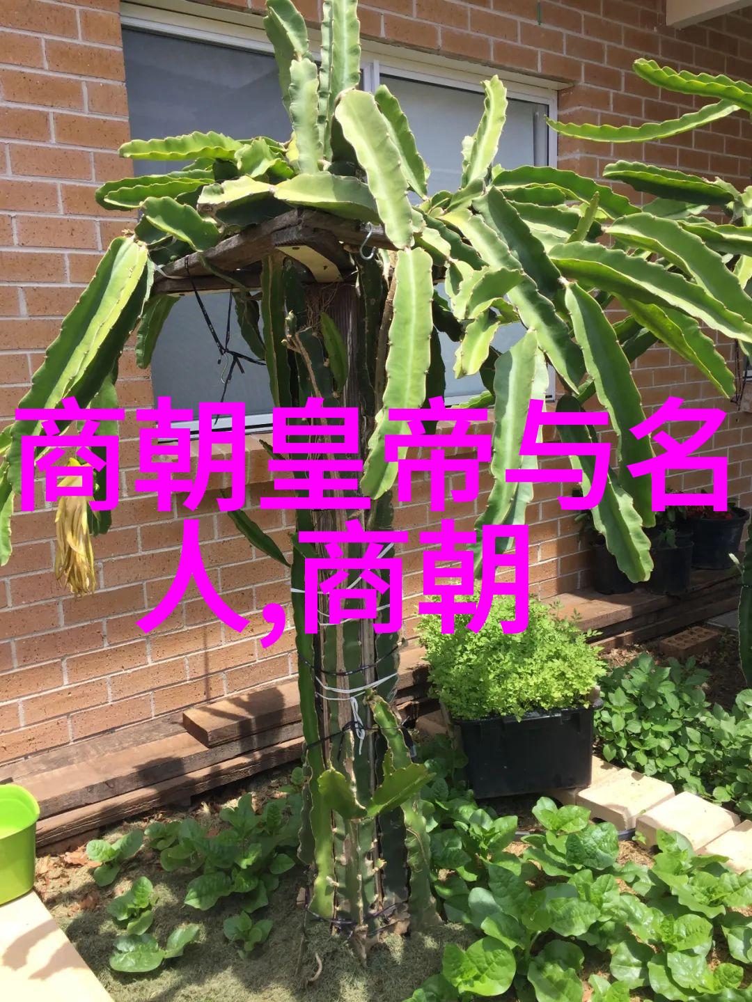 明朝的排列顺序-明代皇帝世系图解辨析王位继承之谜