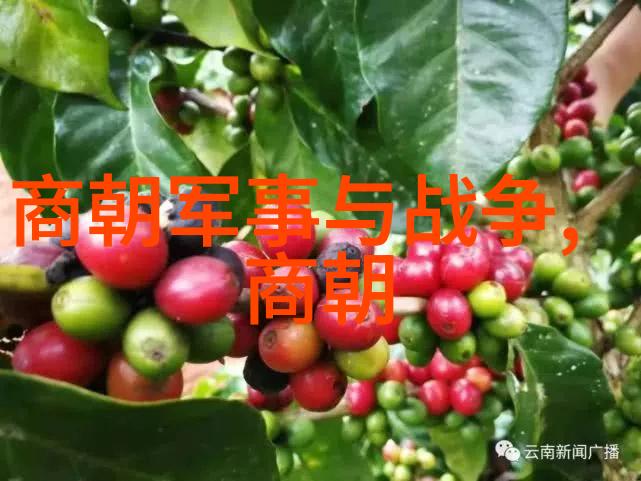 历史疑惑-朱元璋王朝之谜为何不选择朱棣继承大统