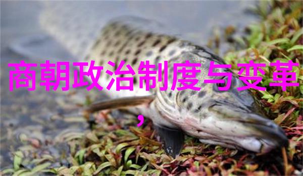 乾隆帝的爱情史背后故事与历史迷雾