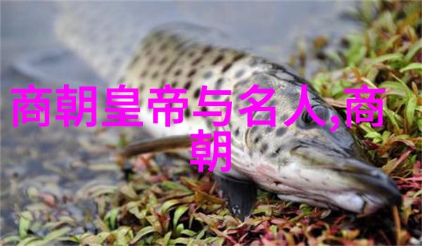 明朝逆袭沉默的太监与宫廷阴谋