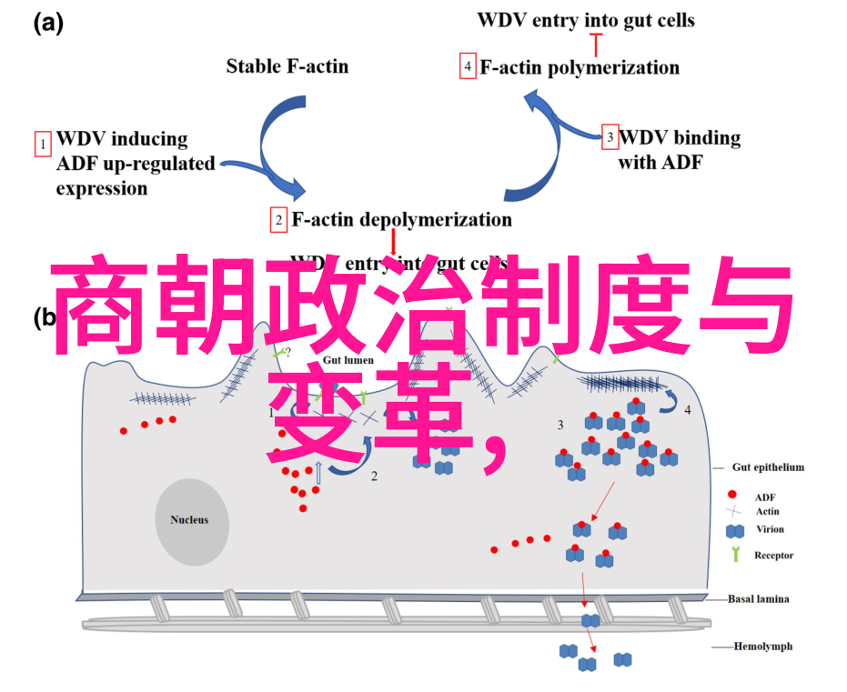 京剧唐派名家汪庆元脸谱颜色绘影生辉