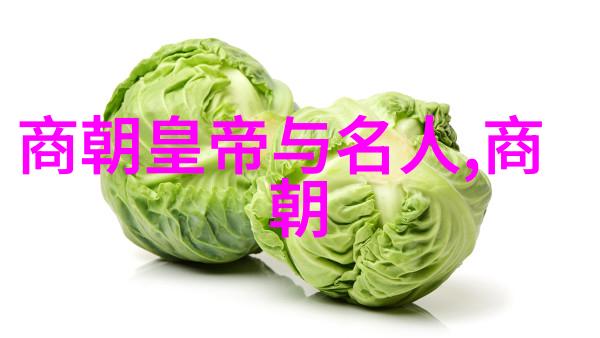 明代帝王序列与年纪考究从朱元璋到崇祯的历史长河