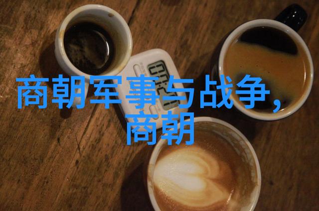 元朝科举我是如何在元朝的文天祥眼中考取进士的