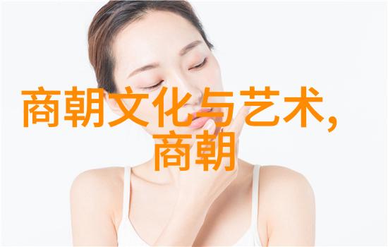 北宋末年凤翔之变与金国的阴影