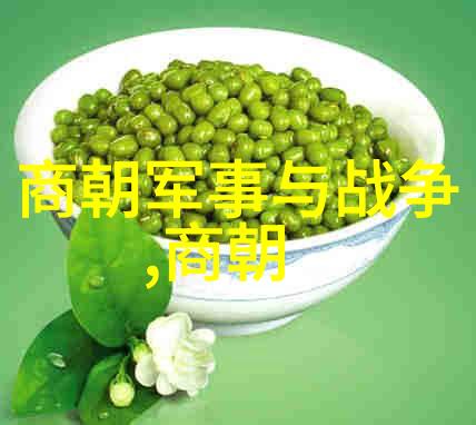 明朝三杰影与光的对弈