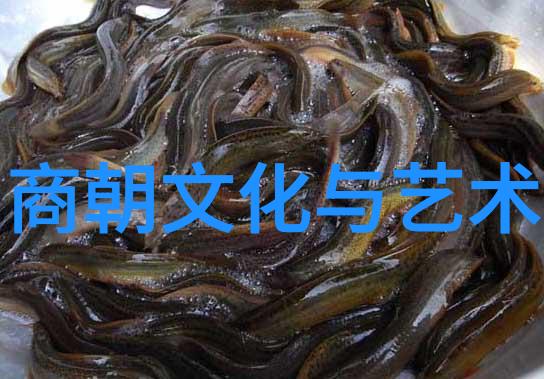 小甲