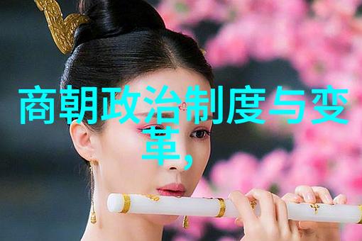 土木堡之战历史重塑与电视剧解读