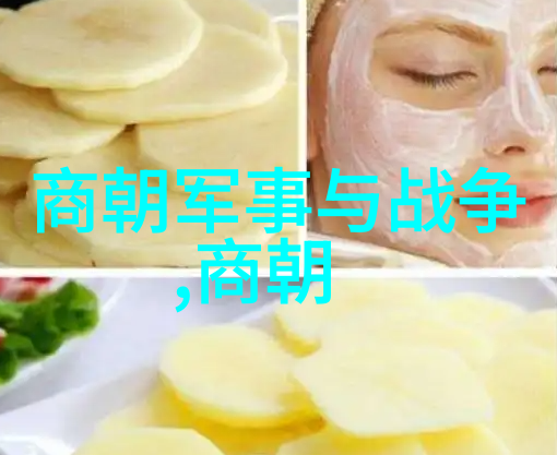 宋朝相关历史内容我和宋朝的故事从北宋的繁荣到南宋的抗争