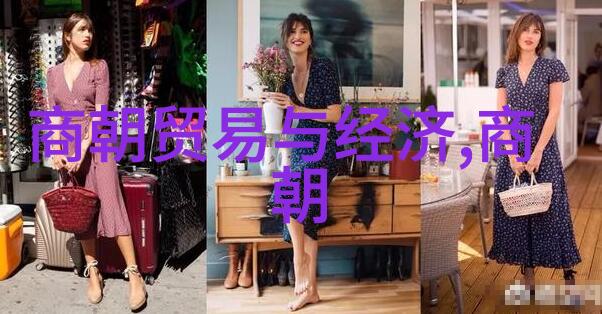 试析明朝末年政治动荡及其对社会影响的考察