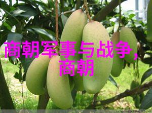元朝的都市与文化繁荣与和谐的交响曲