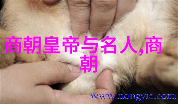 奇闻录-明朝怪事纷呈揭秘那些让人难以置信的历史谜团