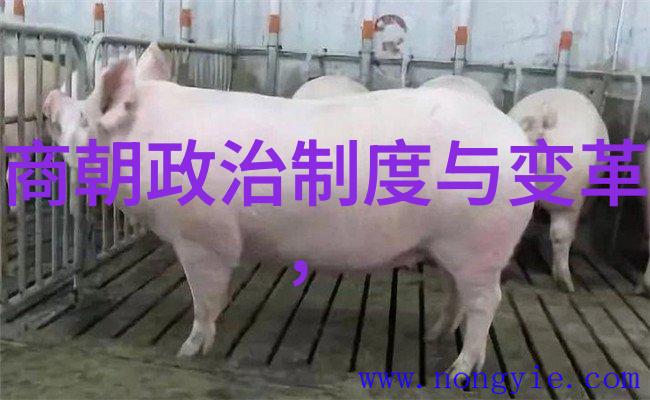 刘亦菲演的靖康电视剧叫-靖康之痛刘亦菲主演的历史剧探索
