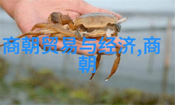 中国古代帝王统治时期我国历史朝代的辉煌篇章