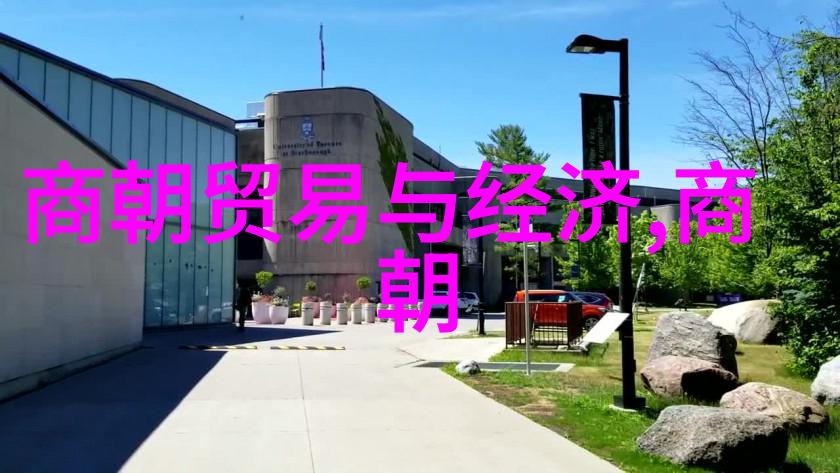 探索南宋与北宋历史资料的珍珠重构两宋之间的历史篇章