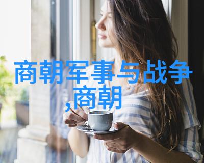 揭秘明朝那些事儿目录解析与历史回顾