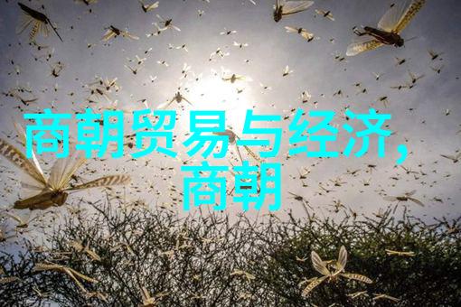 明朝的魅力探索国人对明朝文化的现代热爱