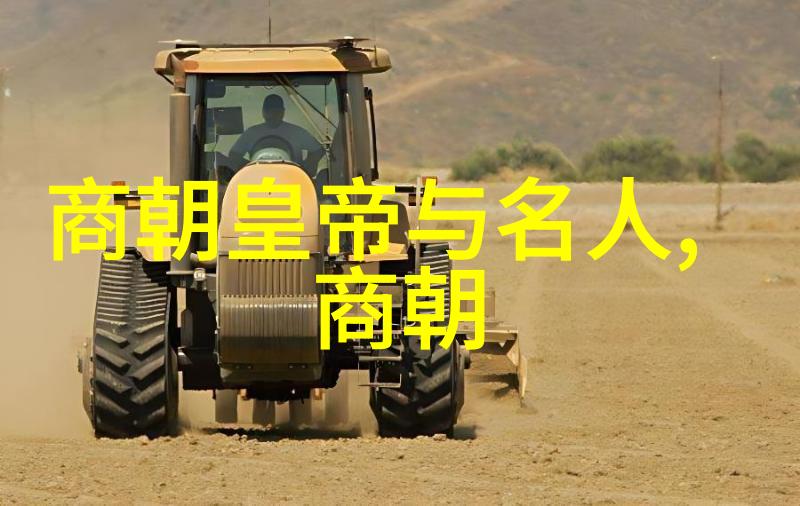 夏姬京枝艺林国术中的北技戳脚御翻传承与情感的共鸣