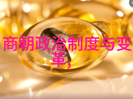明朝覆灭后的新天清朝兴起与权力转移