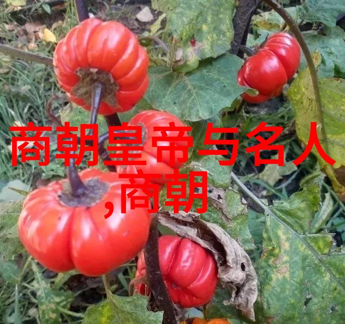 歼31黄逸梵空中奇迹的编织者