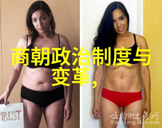 文学创作与行政管理之间存在怎样的互动和冲突