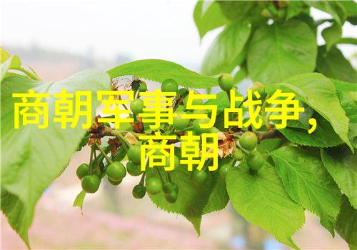 隋唐盛世背后的故事军事与经济政策