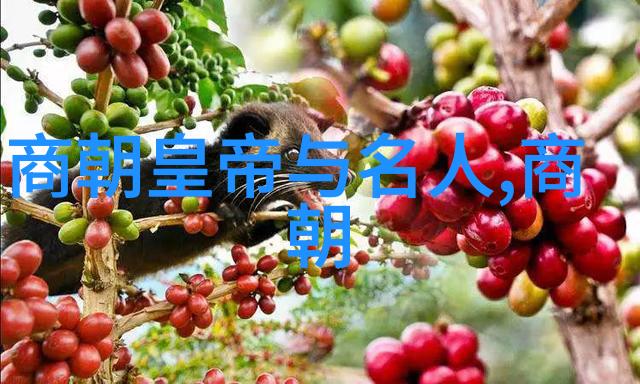 中国历史朝代时间轴古代中国的兴衰变迁