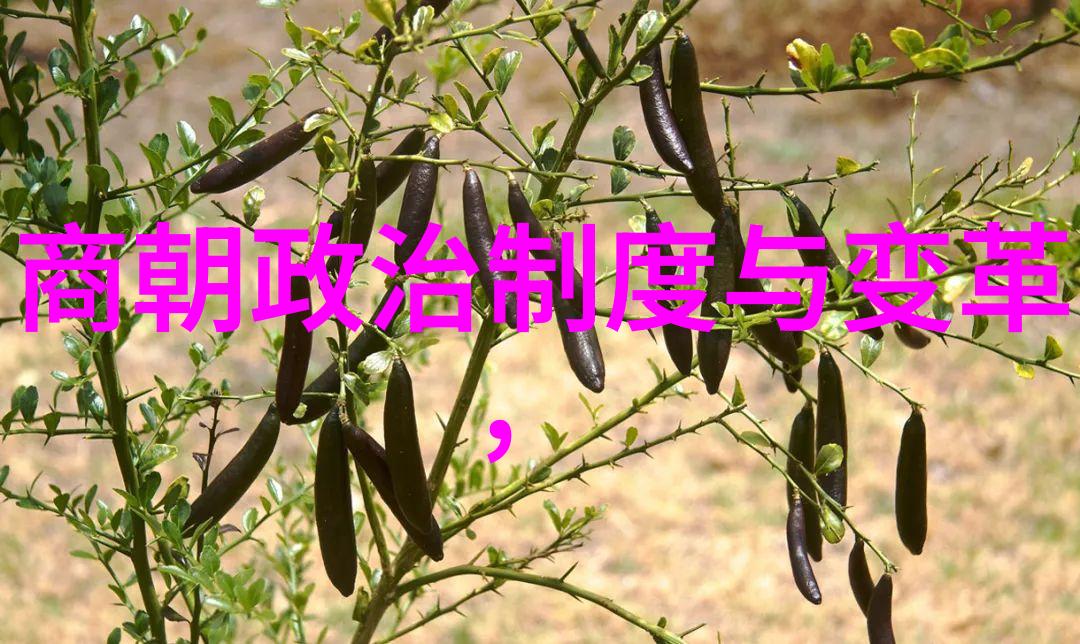北逃后的元朝重塑帝国的命运
