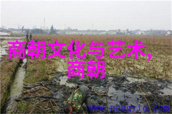胡家齐京剧四大名旦中的代表人物