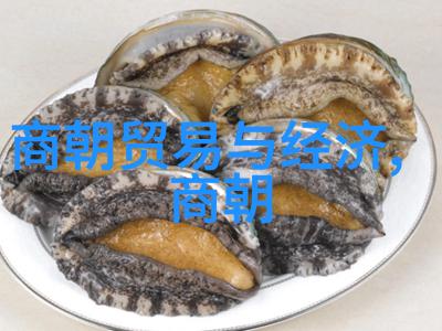 胡惟庸司马迁事迹中的宰相历史的最后一刻