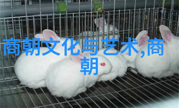 汉朝的英杰韩鹏尧