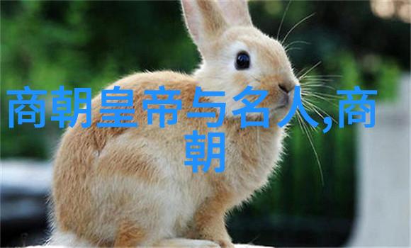 如何解释元末明初时期为何出现了一系列关于皇位继承权的问题最终促成了新的政治体制的建立和旧有的制度被一