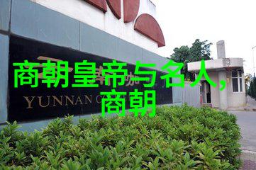 魏武将军与江湖秘密
