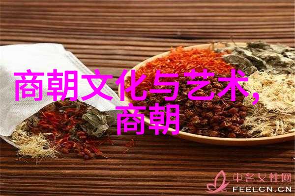 元朝历史探究-辽阔的征途论元朝是否属于外族入侵的产物