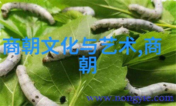 五彩缤纷京剧演唱会李经畲票友盛宴