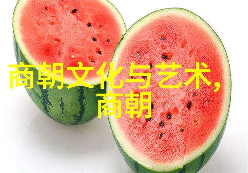 宋代史料探秘揭开千年文明的面纱