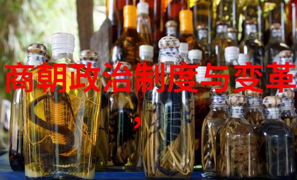明朝历史人物排名明朝最有影响力的帝王和将领