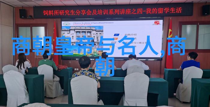 明朝风华辉煌与变迁的历史篇章