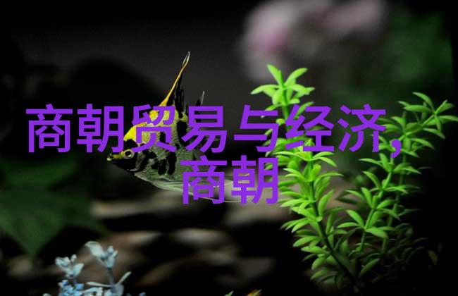 龙凤呈祥明朝庆功阁二十四功臣的辉煌