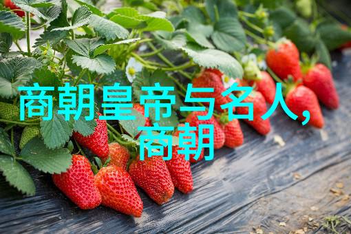 时光纹章中国历史文化的演绎