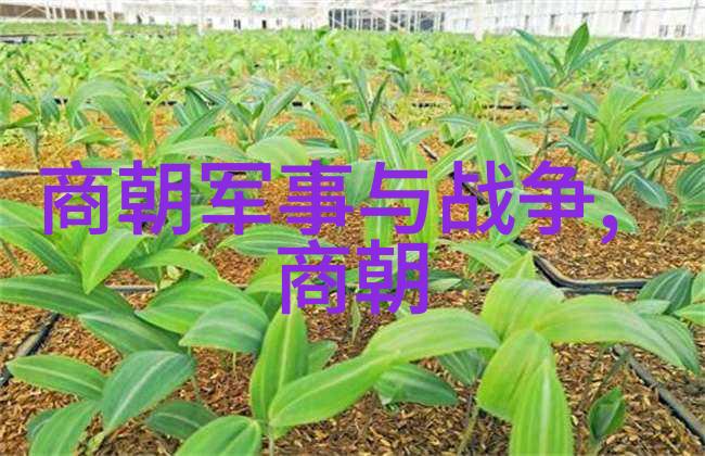 龙凤呈祥的倒影