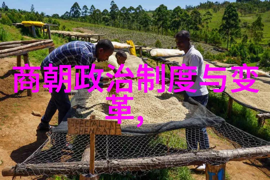 除了政治变迁外在科技领域南明朝又有什么新的发展或遗产留给我们