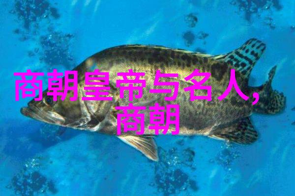 专家们为何对宋朝的治理方式如此青睐