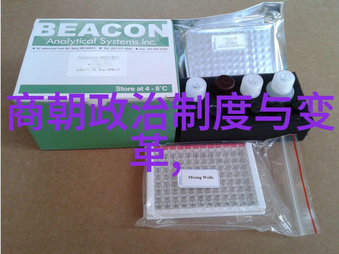 明月几时有元朝的诗人与宫廷之争